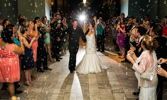Steve Herlihy Photography