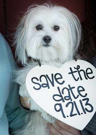 Nashville Engagement Photographer Steve Herlihy