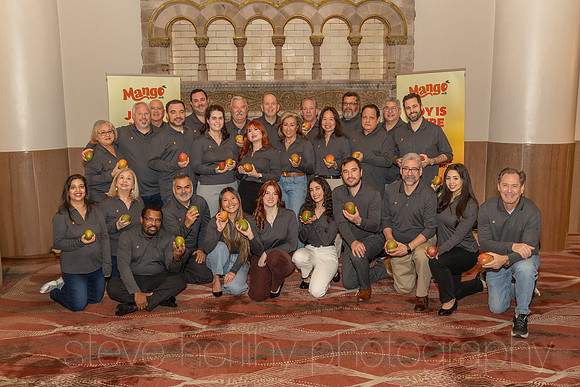 Corporate Head Shots, Mango Board Sales Meeting