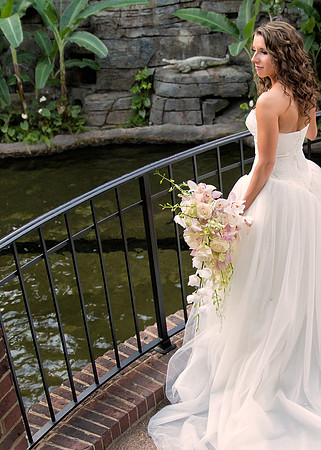 Nashville Wedding Photographer Steve Herlihy
