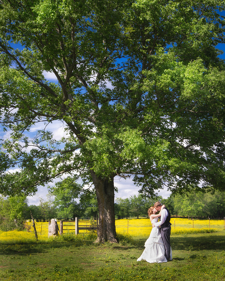 Nashville Wedding Photographer Steve Herlihy
