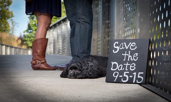 Nashville Engagement Photographer Steve Herlihy
